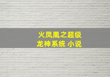 火凤凰之超级龙神系统 小说